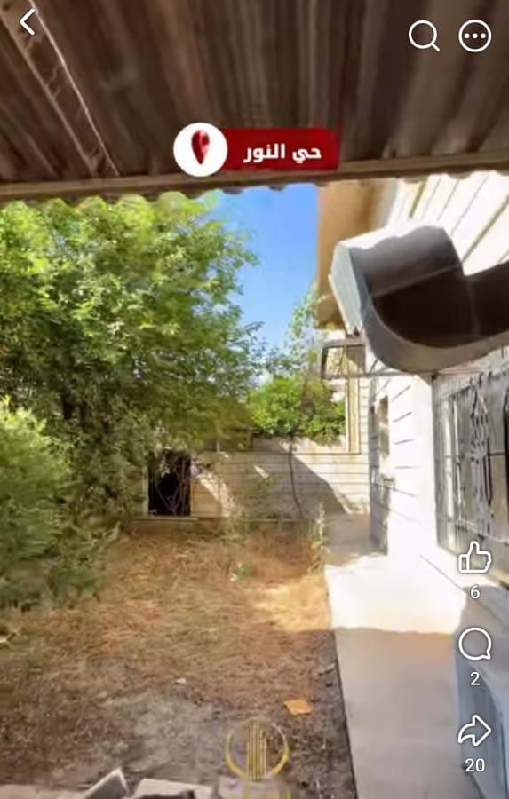 صورة 5