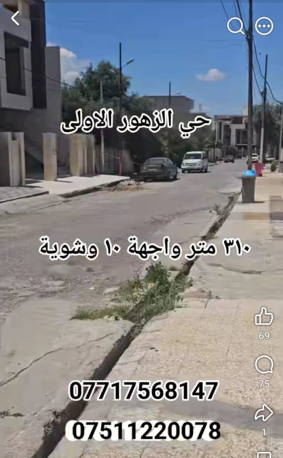صورة 2