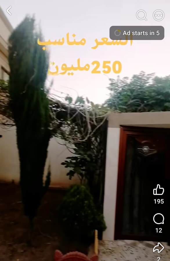 صورة 5