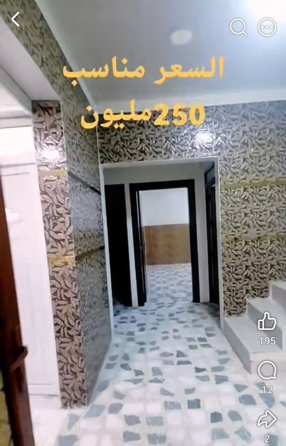 صورة 11