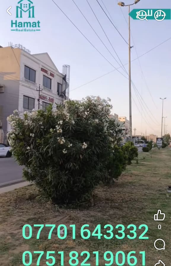 صورة 4