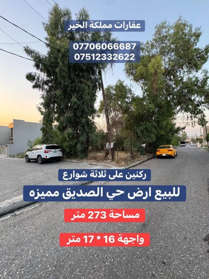 صورة 1