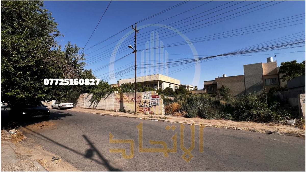 صورة 2
