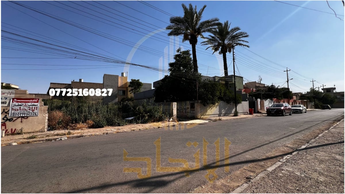 صورة 3