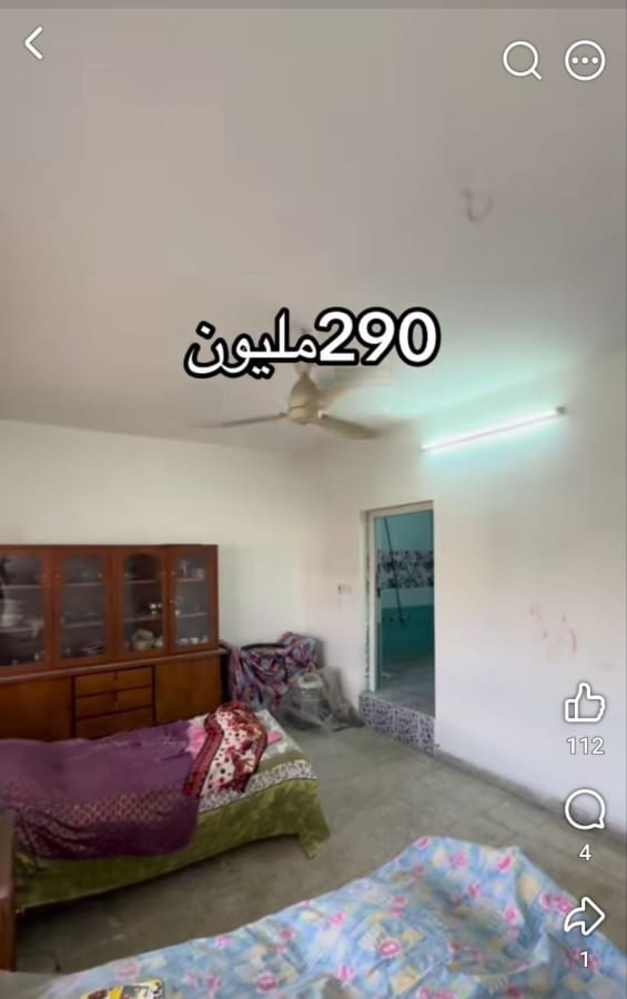 صورة 10