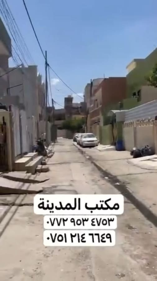 صورة 2