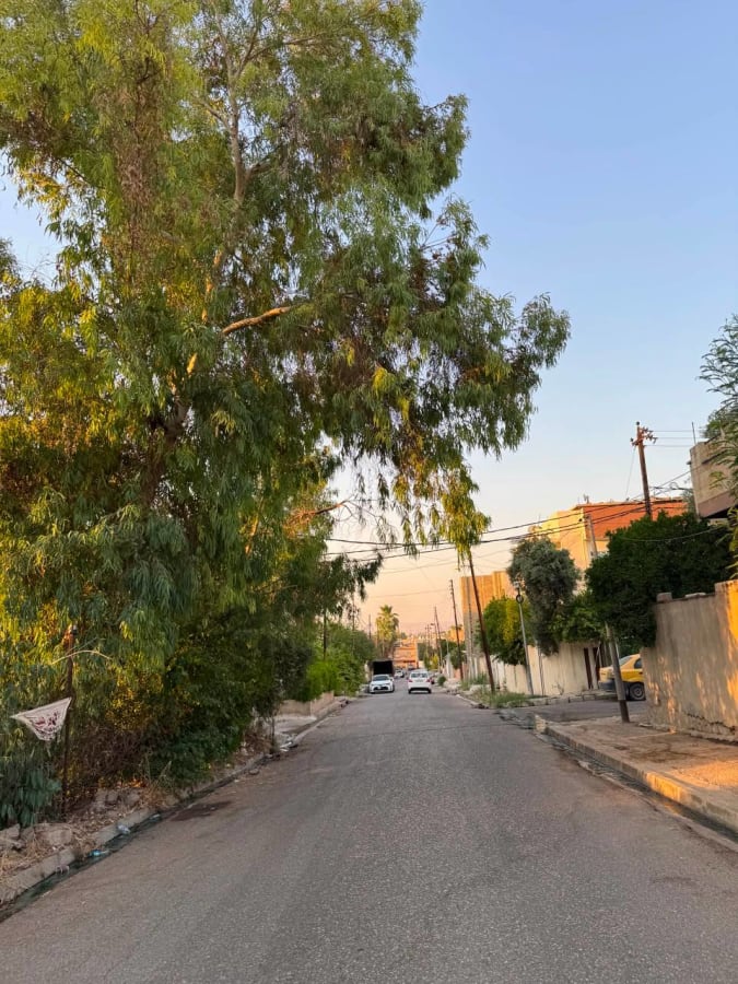 صورة 1