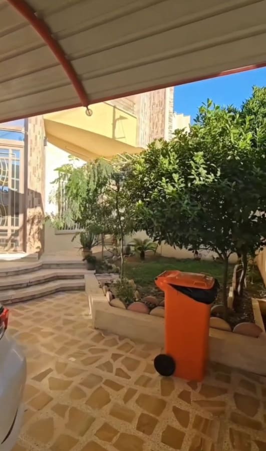 صورة 3