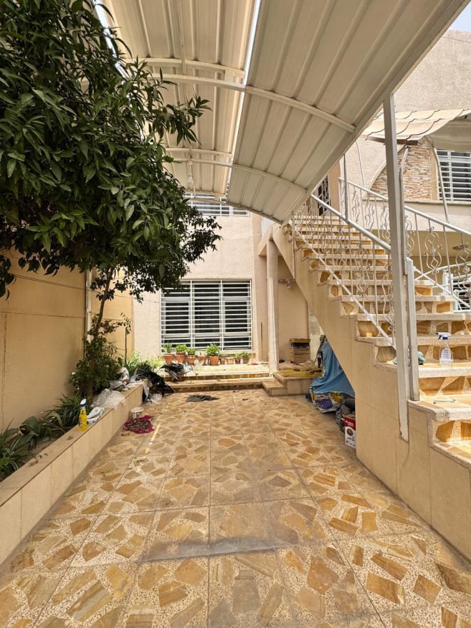 صورة 13