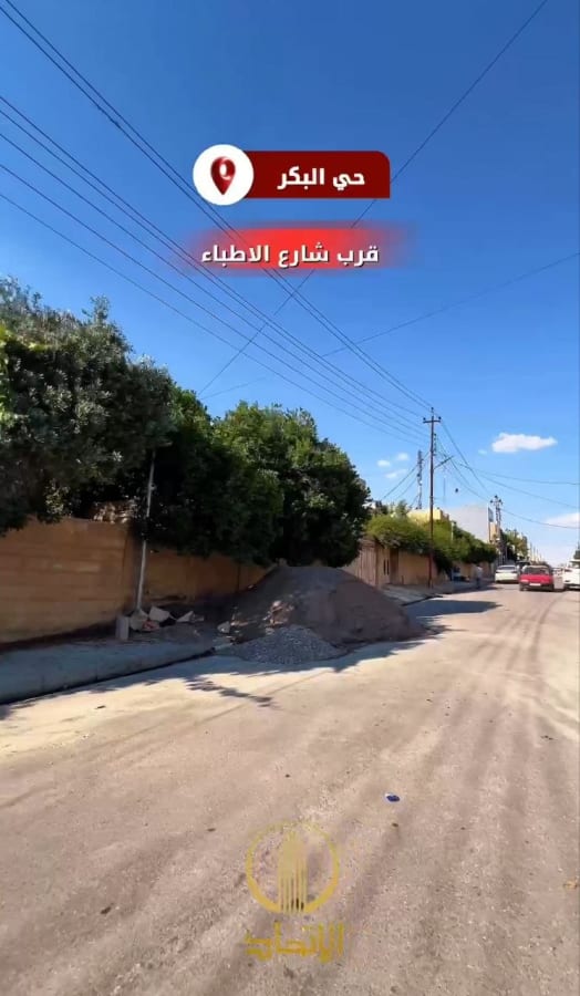 صورة 3