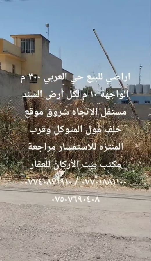 صورة 1