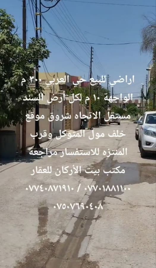 صورة 2