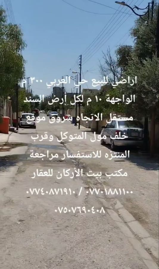 صورة 3