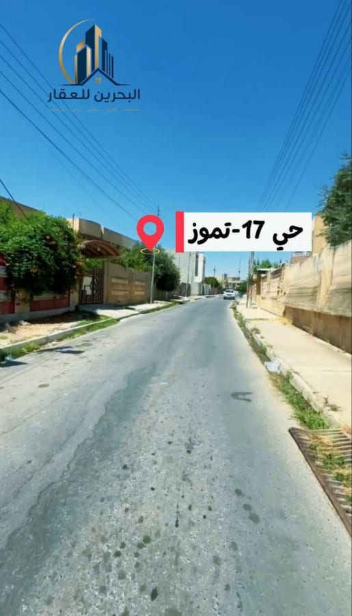 صورة 3