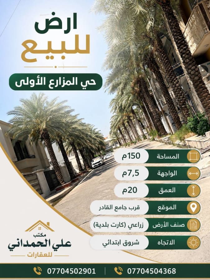 صورة 3