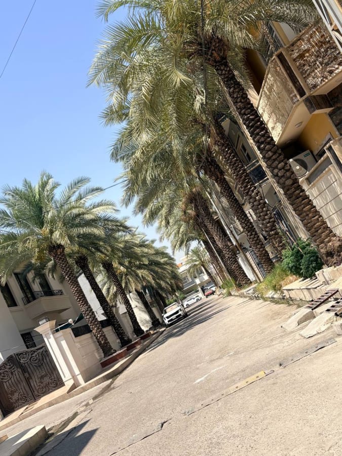 صورة 4