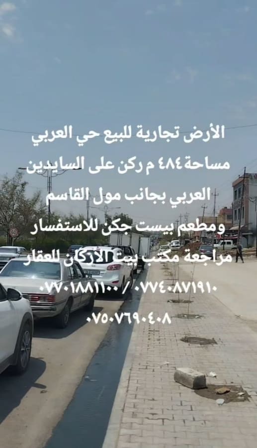 صورة 3