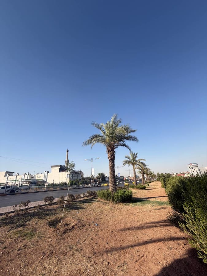 صورة 3