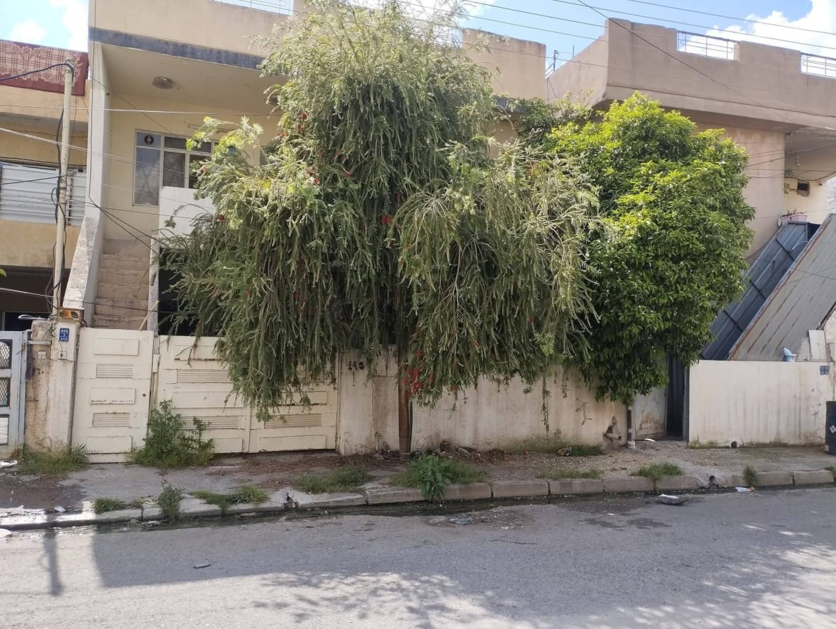 صورة 1