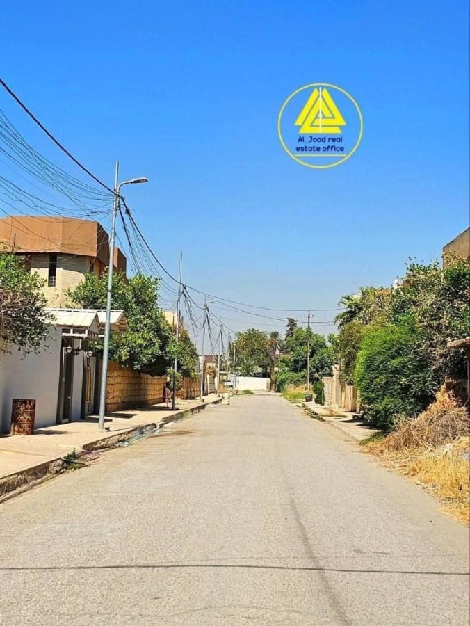 صورة 2
