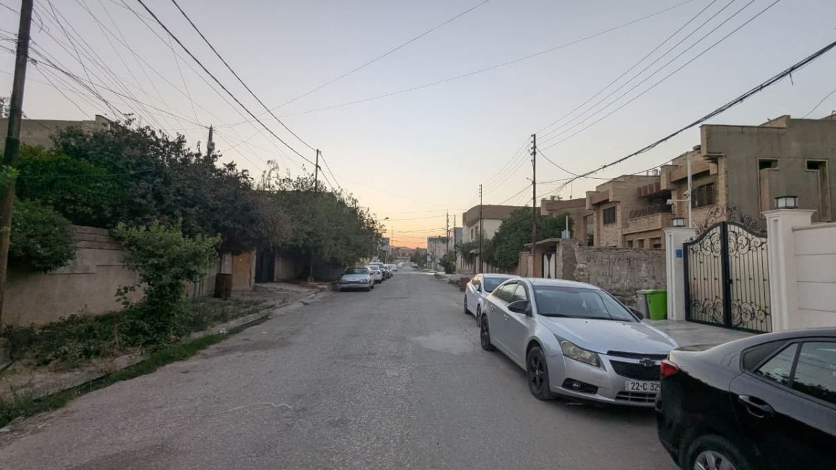 صورة 2