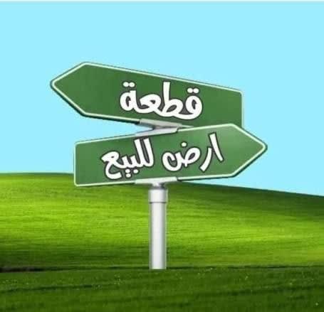 صورة 1