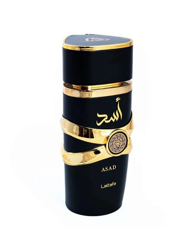 YARA ASAD 1.1 4