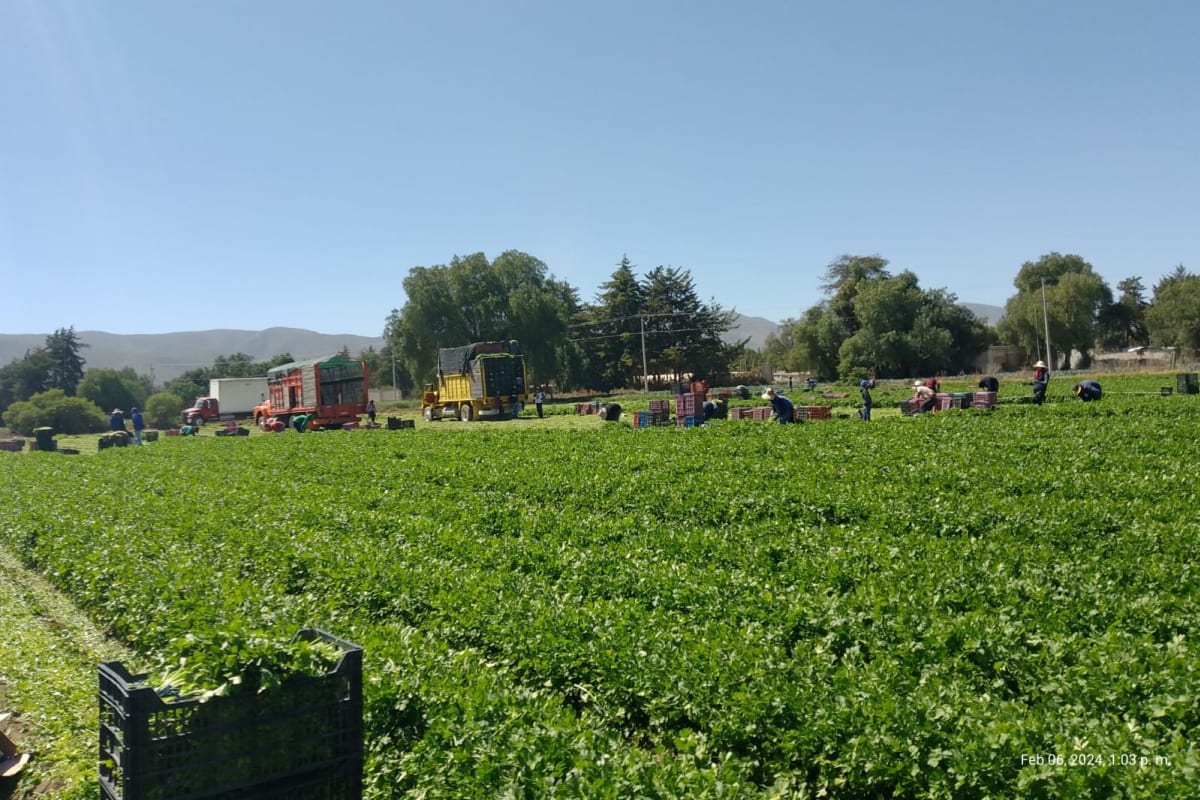 Atención al cliente