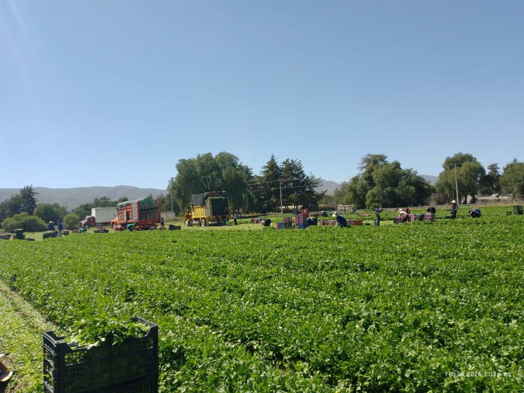 Compromiso con la calidad