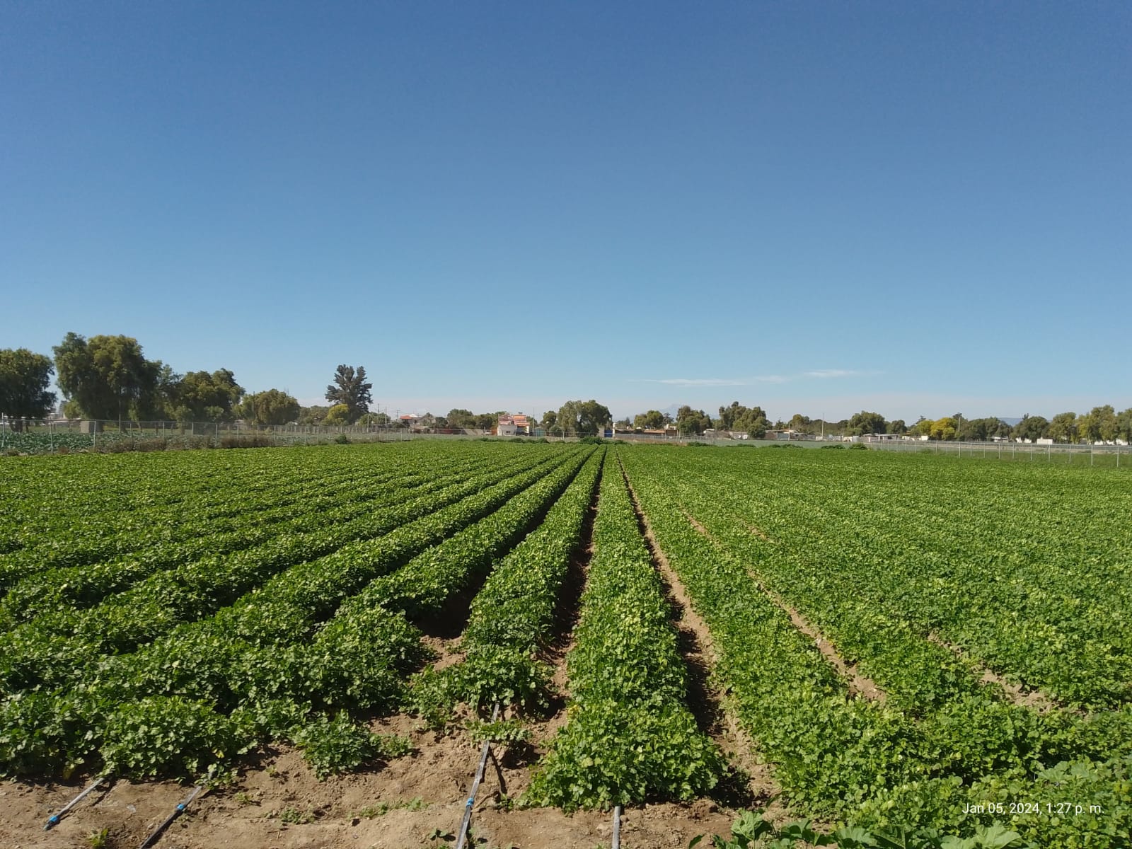 Descripción de la imagen 1