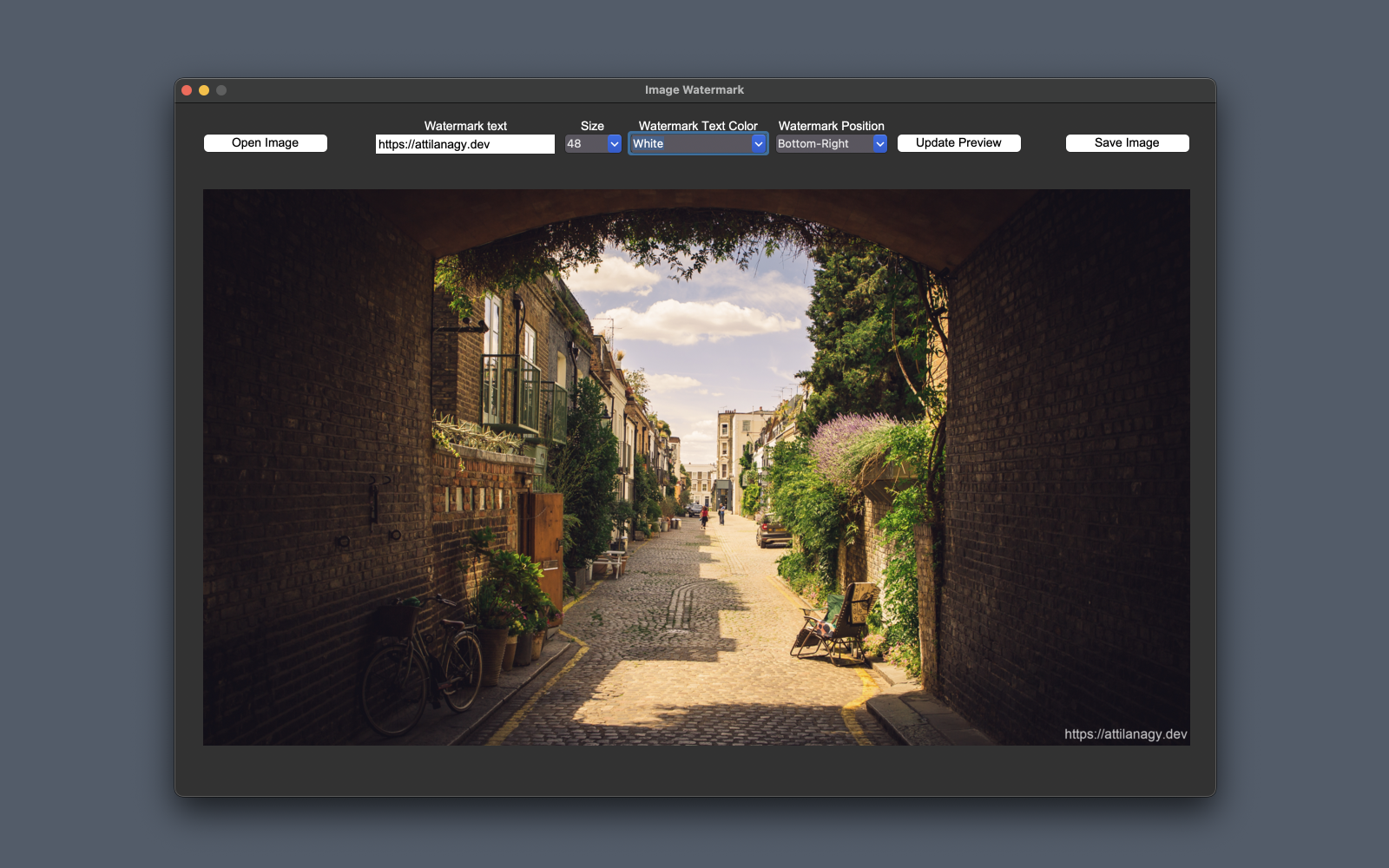 Watermark Image
