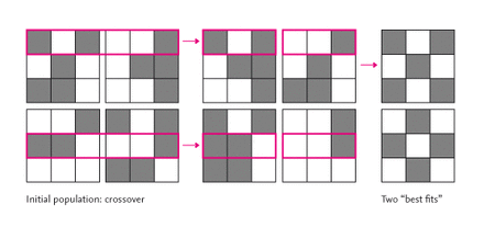 Symmetry and rules