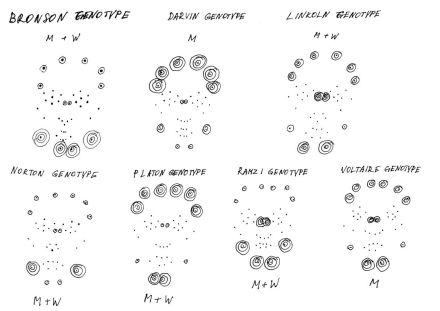 MTT Genotypes