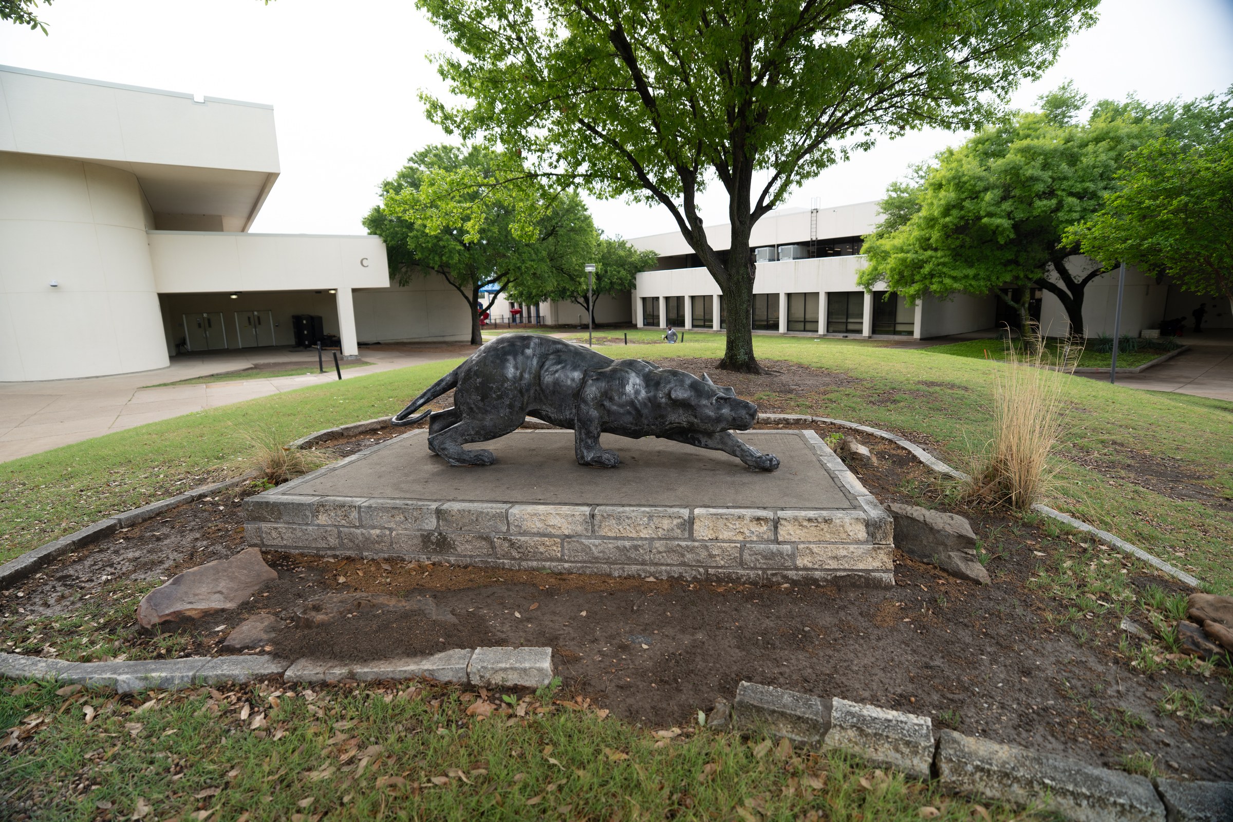 Plano East SHS panther -- side view