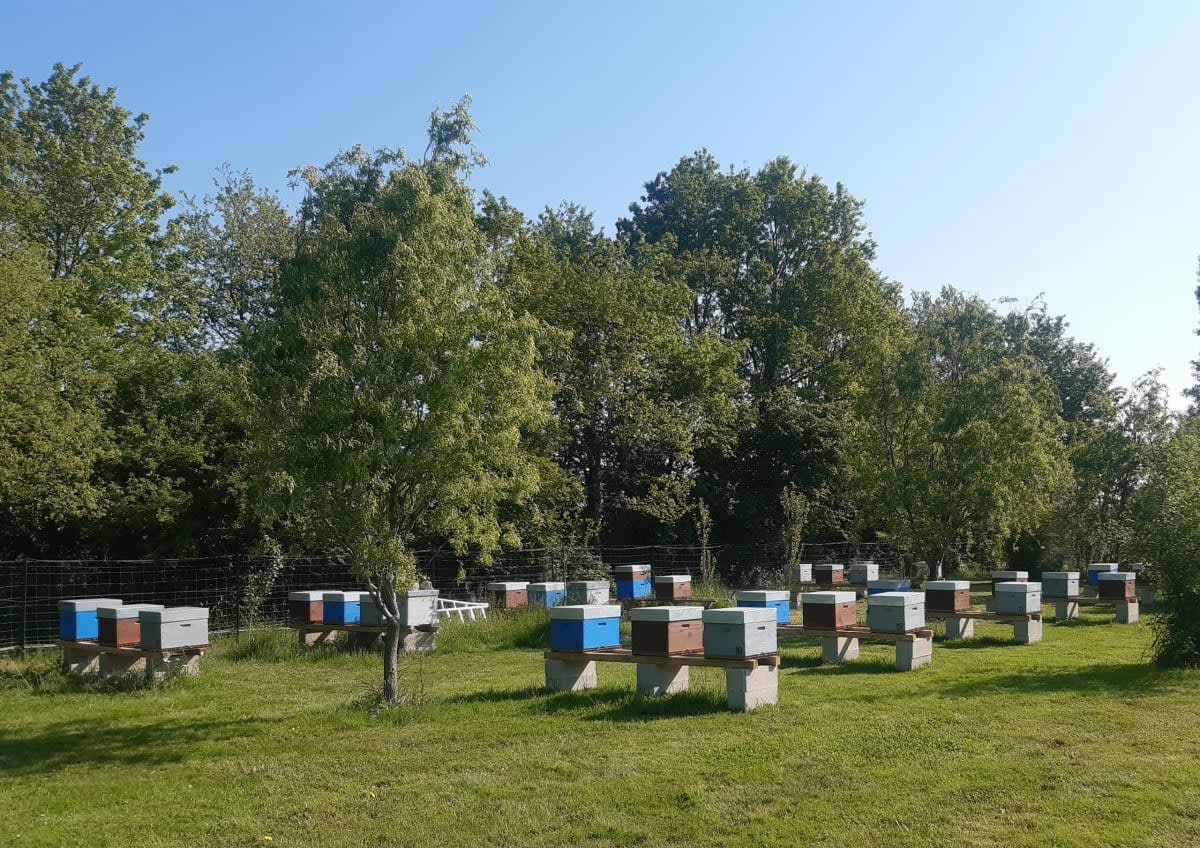 Photo de Miellerie le Plaisir du Bois Vieux
