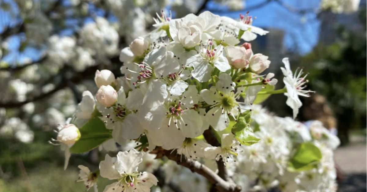 Your Salt Lake Spring Cheat Sheet - City Cast Salt Lake