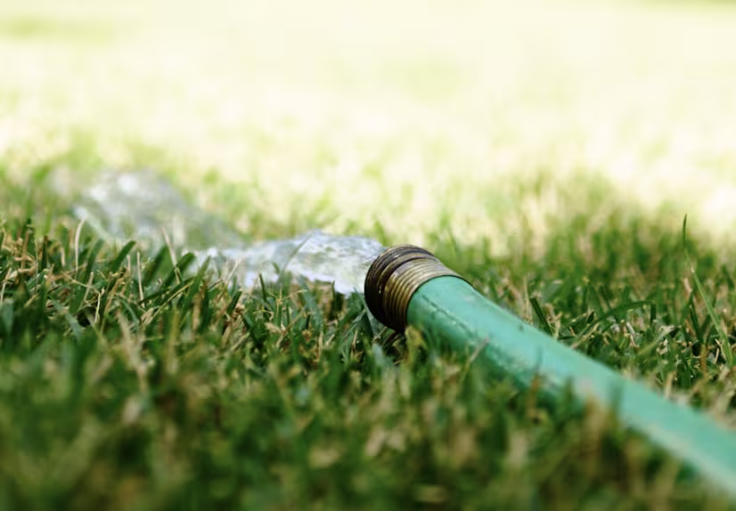 Water running out of a hose on grass.