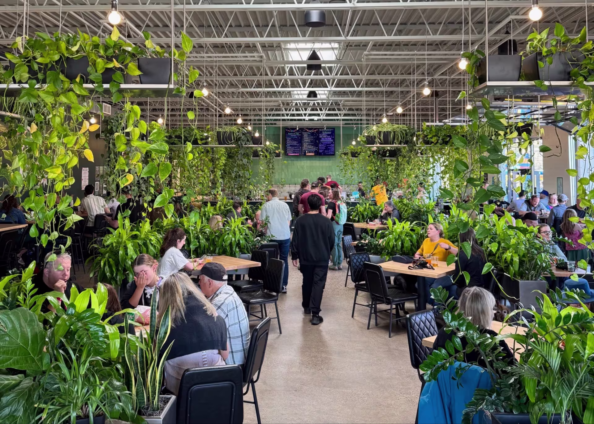 Interior of brewery with lots of potted plants decorating the space, and tables with people seated
