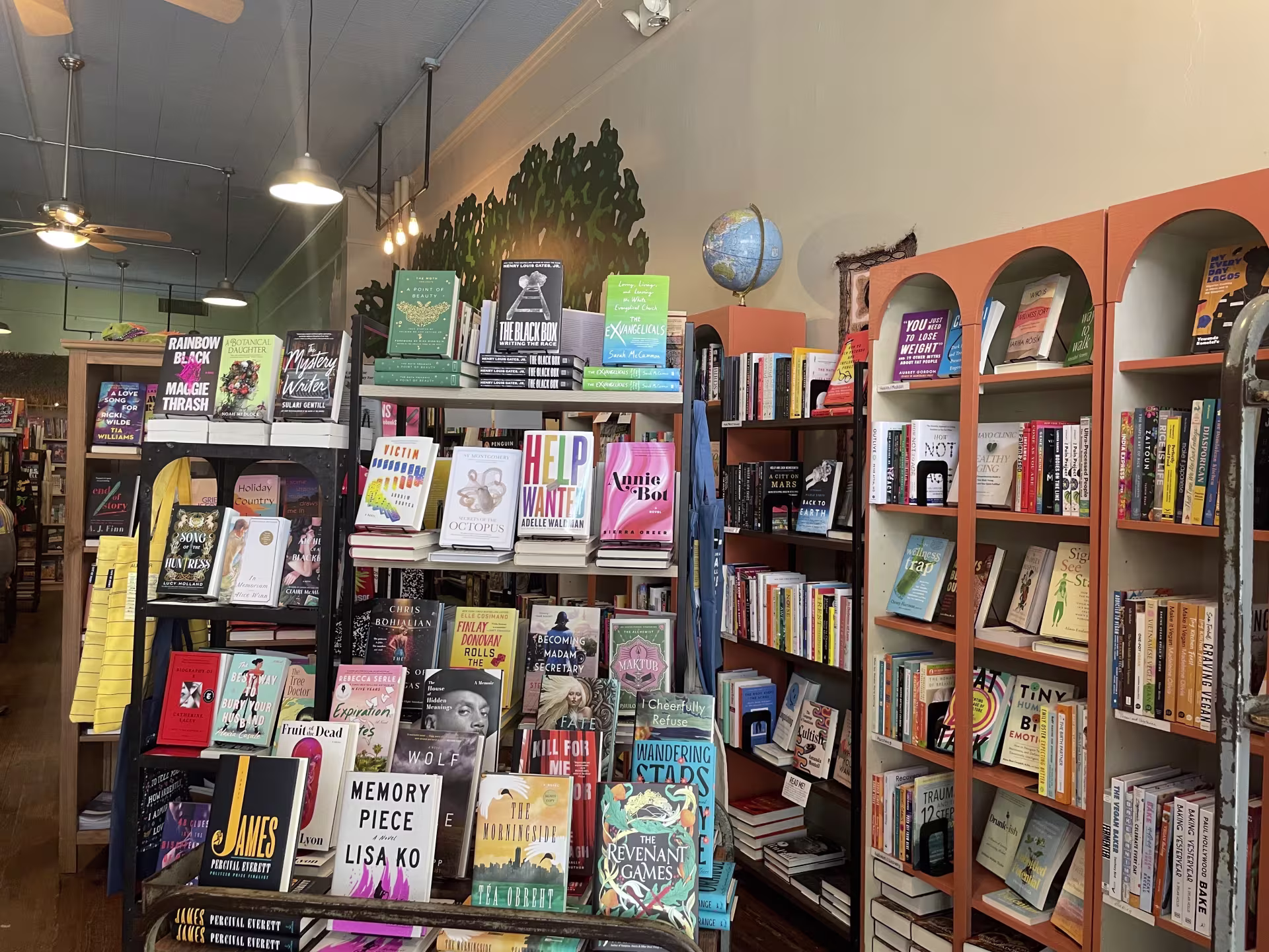 Curious Iguana Books in Frederick, Maryland. (Kaela Cote-Stemmermann/City Cast DC)