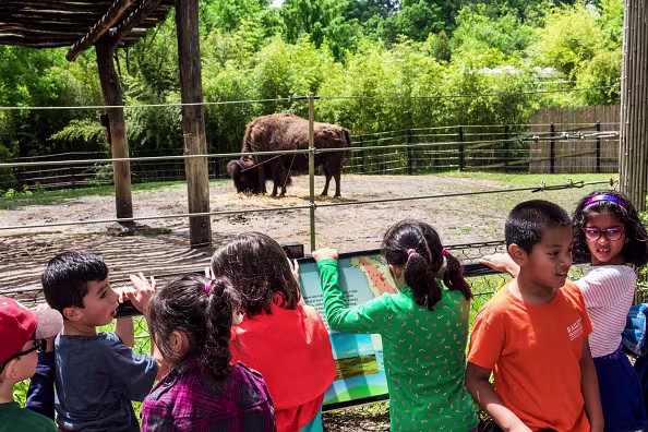 Camp field trip to the National Zoo. (Jeff Greenberg/Getty Images)