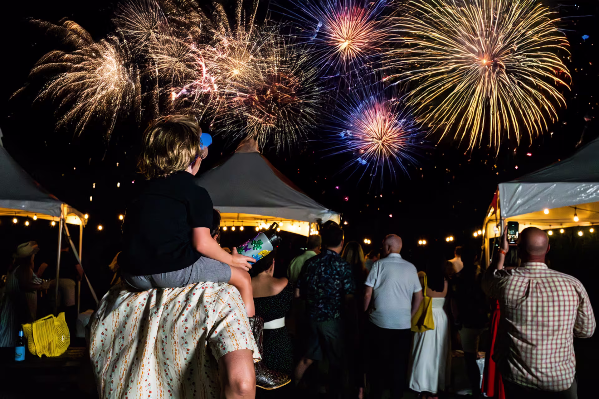 A group of people watching fireworks.