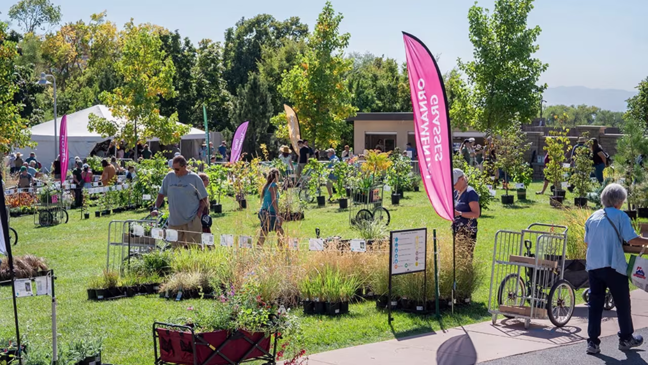 Shoppers look at plants set out on a grassy lawn.