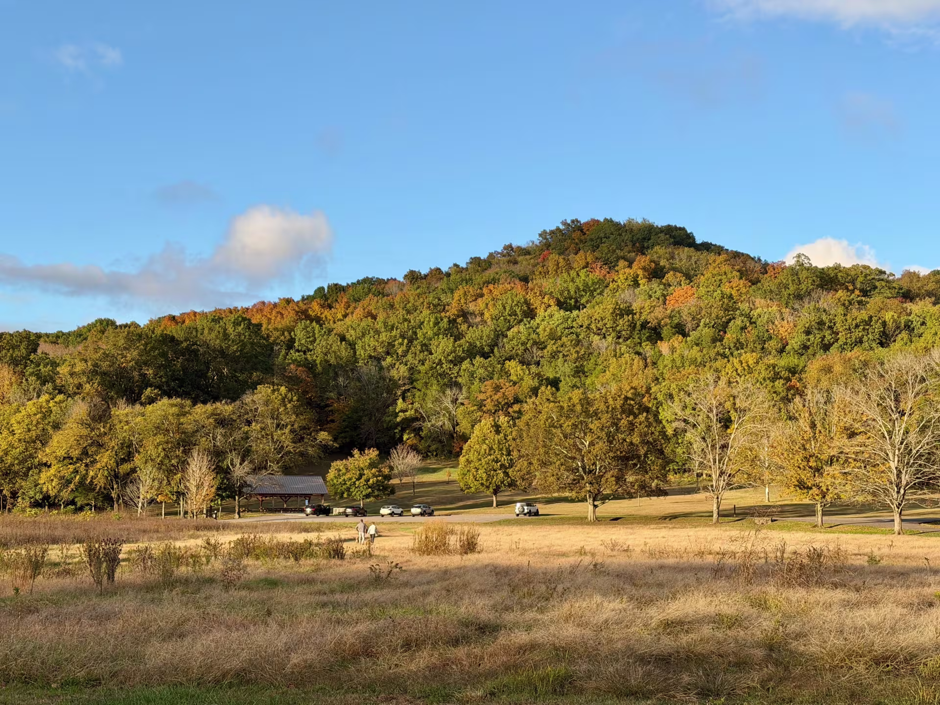 A tall, forested hill where the leaves are changing colors. A meadow is in front of the hill.