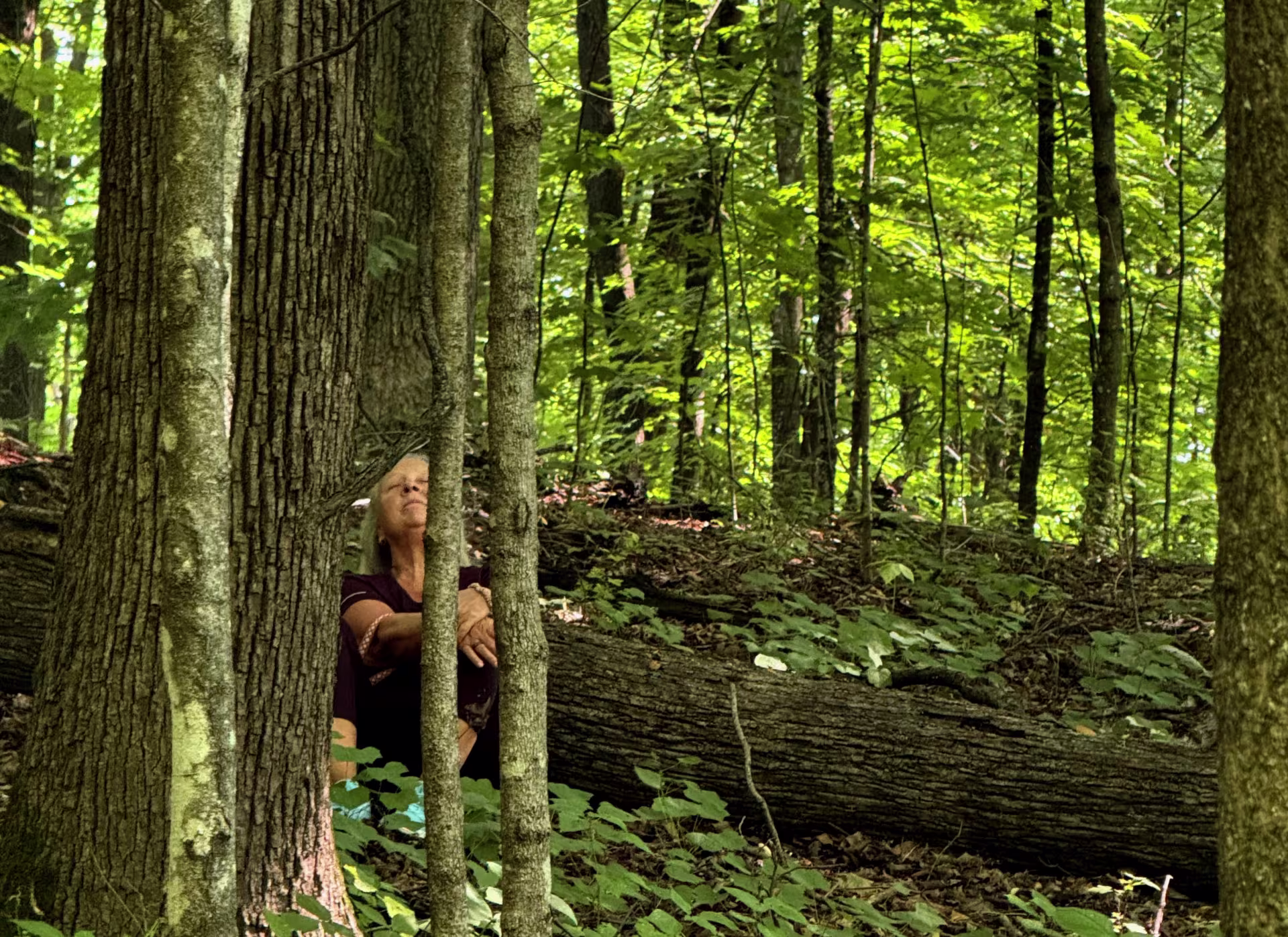 An older woman with her eyes closed sits against a log in the woods, surrounded by tall trees with bright green leaves.