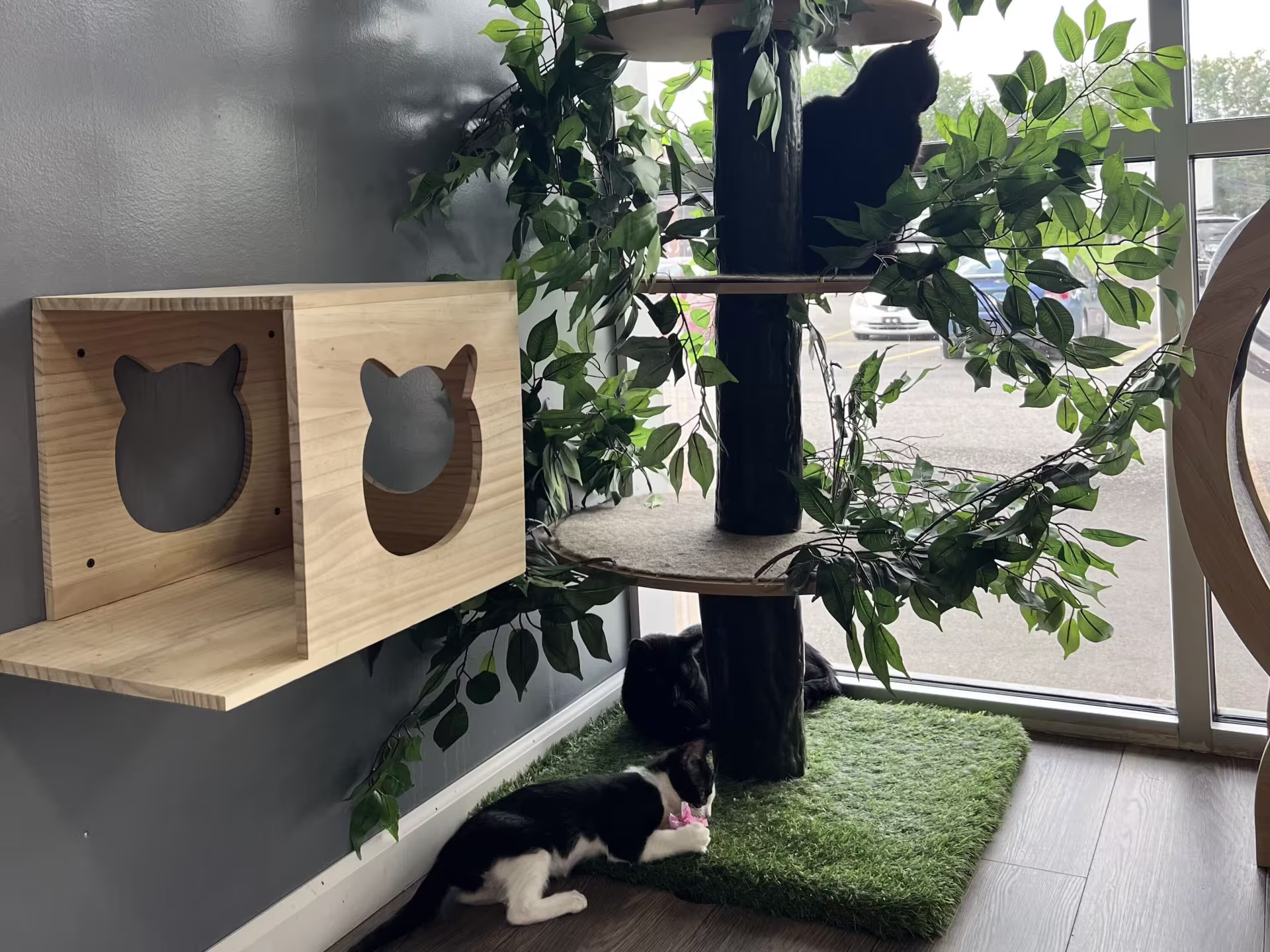 Three cats lounge on a tall cat tree covered in greenery, with a wooden box with cat cutouts beside it. One cat looks out the window.