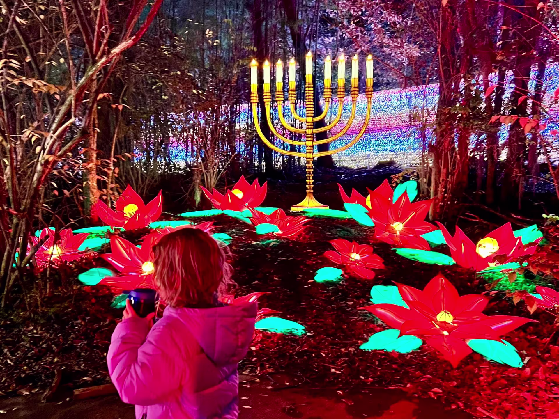 A giant menorah and red lotus flowers made from Chinese lanterns outside. A child drinks hot chocolate as she walks by.