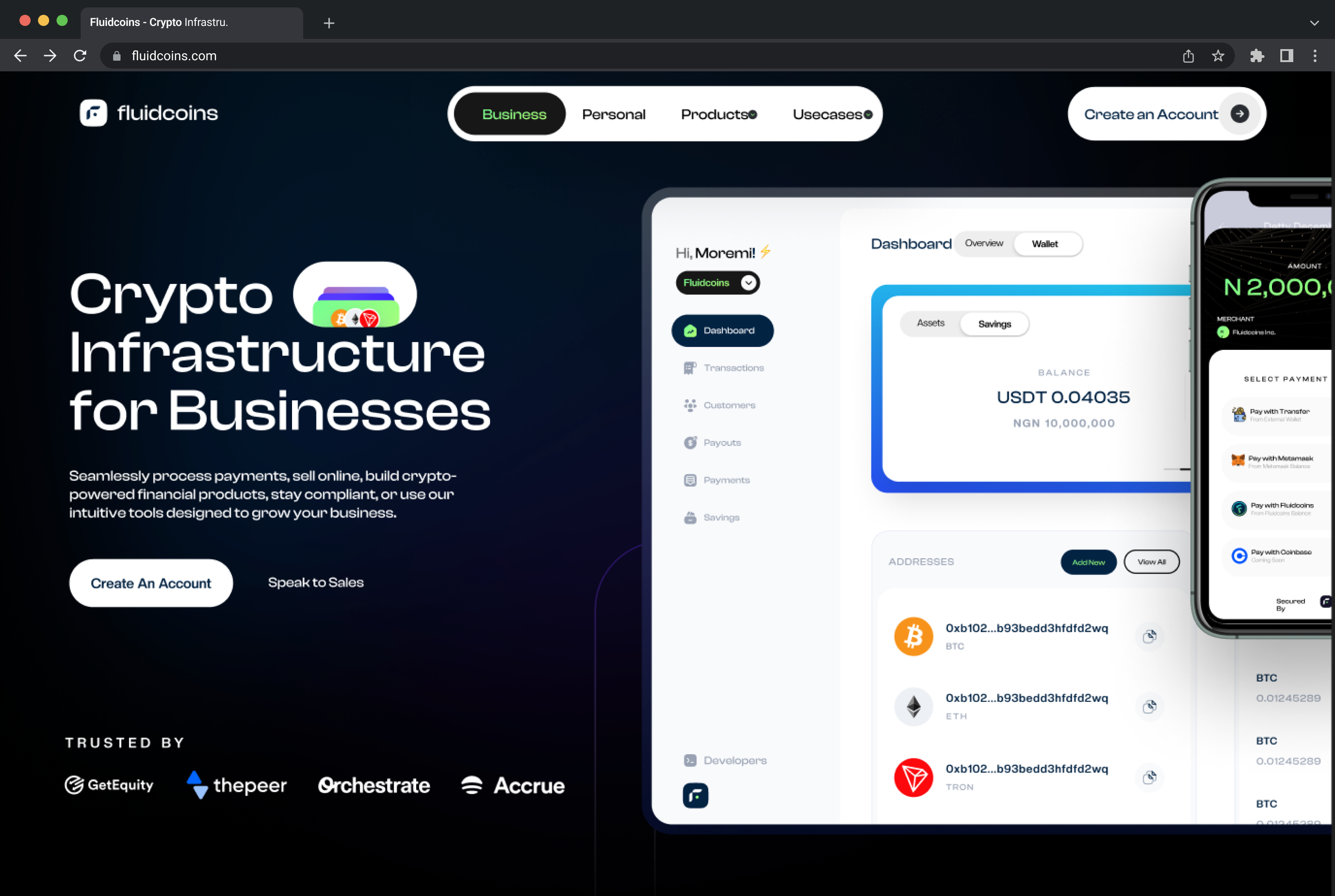 Fluidcoins merchant dashboard — overview and balance summary