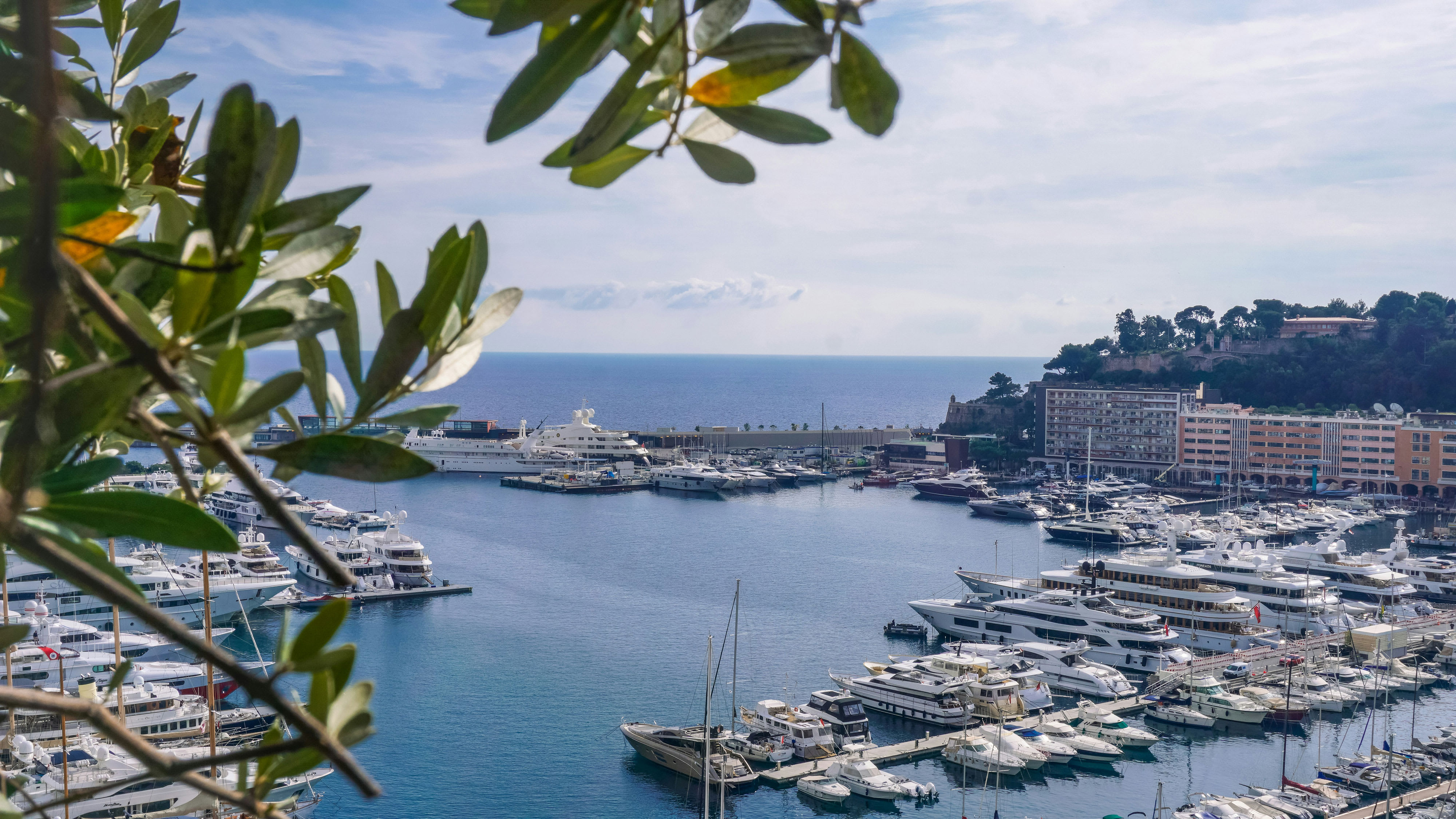 Monaco coastline aerial view
