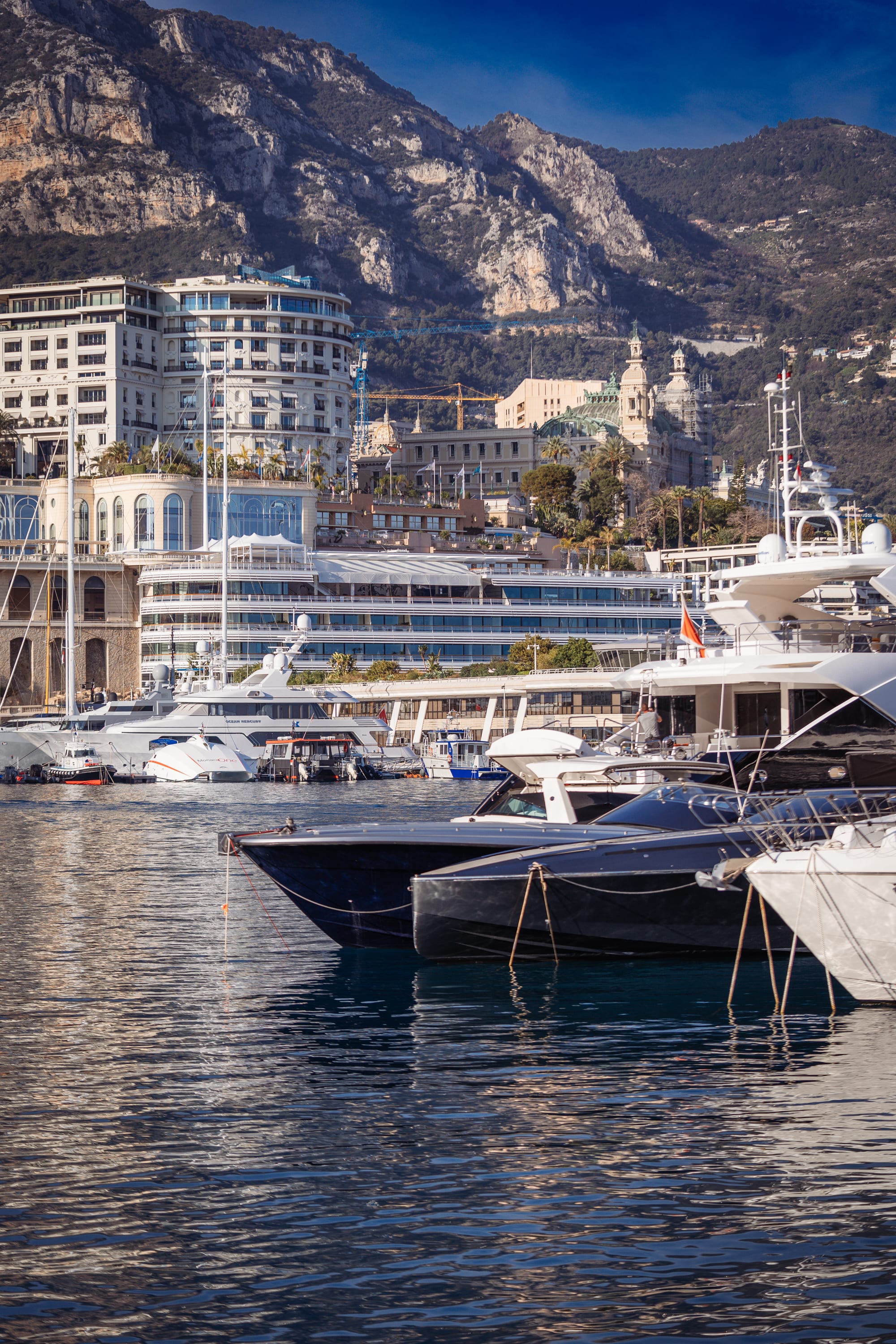 Display and Shopping ads