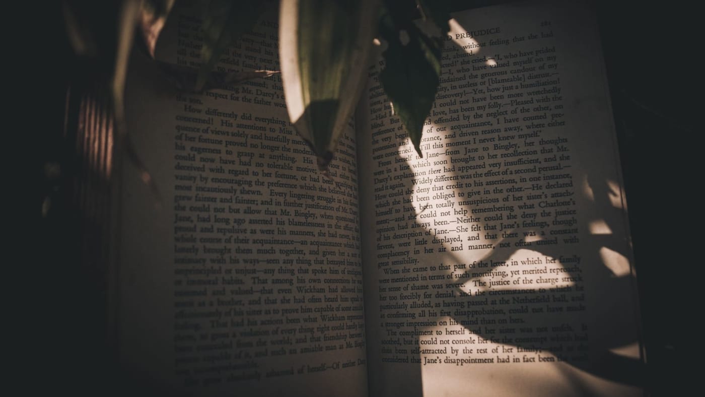 Livro aberto iluminado por um feixe de luz com sombras de folhas sobre as páginas.